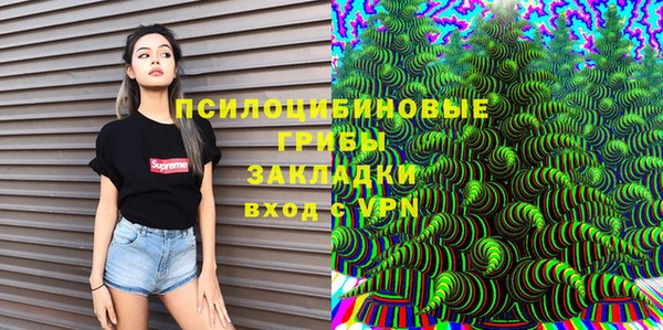 ешки Гусь-Хрустальный
