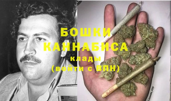 ECSTASY Дмитриев