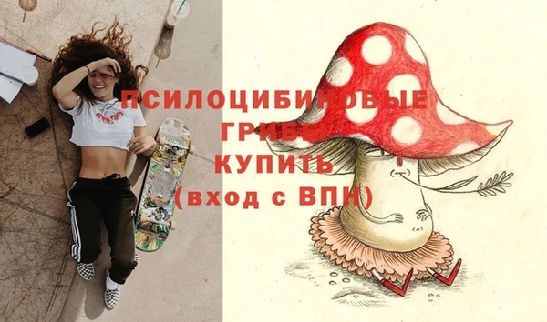 а пвп мука Гусев