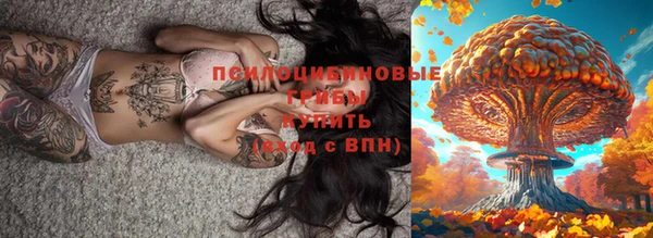 а пвп мука Гусев