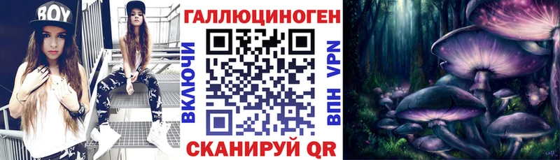Галлюциногенные грибы мицелий  Купить  Камень-на-Оби 