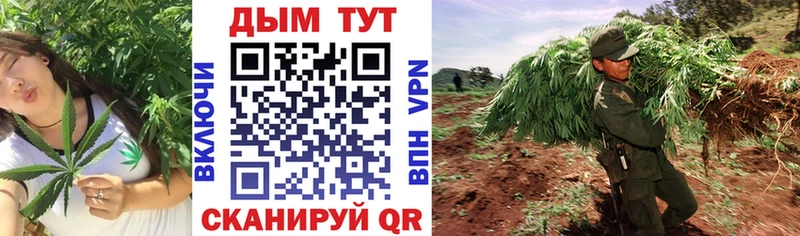 Канабис White Widow  Купить где  Камень-на-Оби 